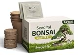 SeedPal Easy Bonsai Starter Kit - Bonsai Anzuchtset 4 versch. Bonsai Samen - Züchte deinen wunderschönen Bonsai Baum - Nachhaltiges Geschenkset/Pflanzset inkl. Anleitung & Zubehör