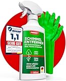 Profi Schimmelentferner Set inkl. 2 Schutzhandschuhe - Schimmelspray mit Hafteffekt gegen Schimmel an Wand, Fugen, Tapete, Textilien, Auto - Entfernt Schimmel hocheffektiv