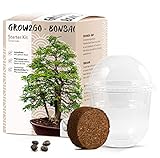 GROW2GO Bonsai Starter Kit Anzuchtset - Pflanzset aus Mini-Gewächshaus, Samen & Erde - nachhaltige Geschenkidee für Pflanzenfreunde (Tamarinde)