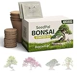 SeedPal Easy Bonsai Starter Kit - Bonsai Anzucht Set 4 versch. Bonsai Samen - Züchte deinen wunderschönen Bonsai Baum - Geschenkset/Pflanzset inkl. Anleitung & Zubehör